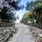 Villa Meli - : La Plage, Lege-cap Ferret Et Lacanau A 10 Minutes